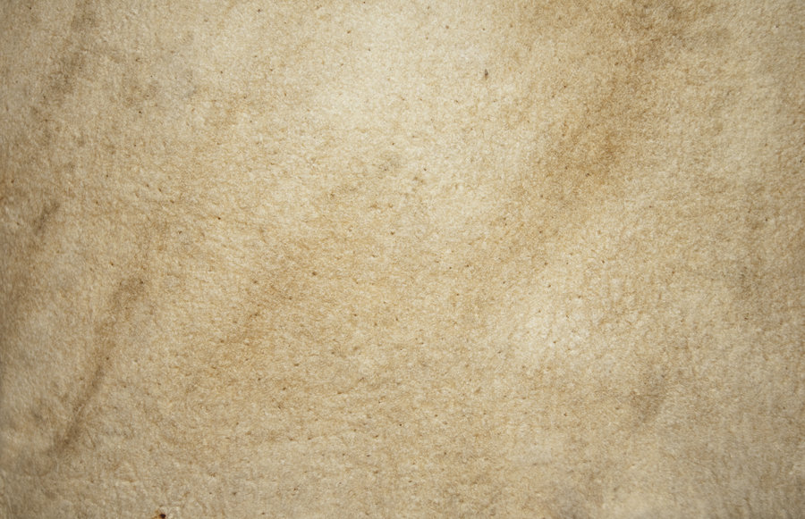 Antique Leather 02